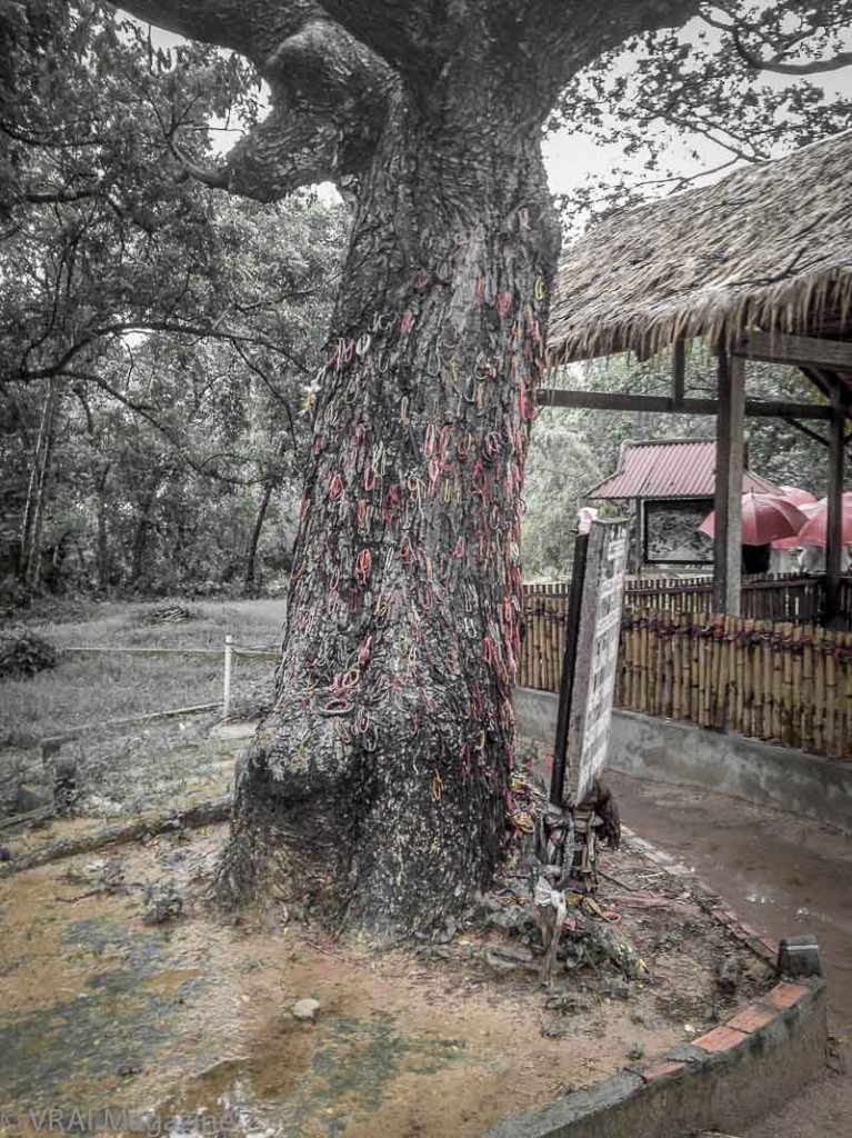 Killing Fields of Cambodia - VRAI Magazine