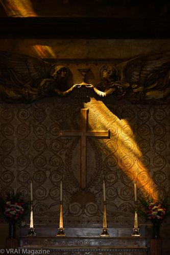 ALP_0484