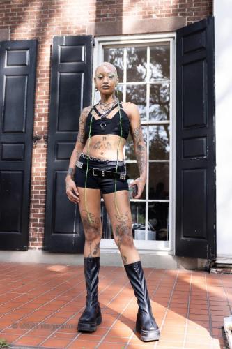 GYPS0331